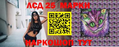 прущие крисы Шахты