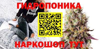 молекула духа Ярцево