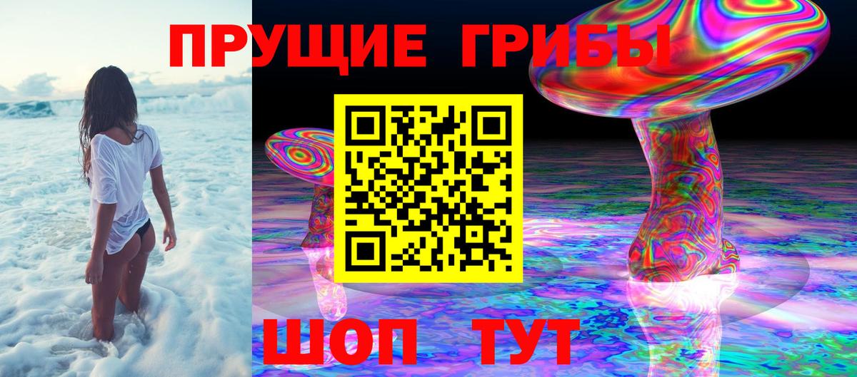Псилоцибиновые грибы Psilocybe  Вход с VPN  Белебей 